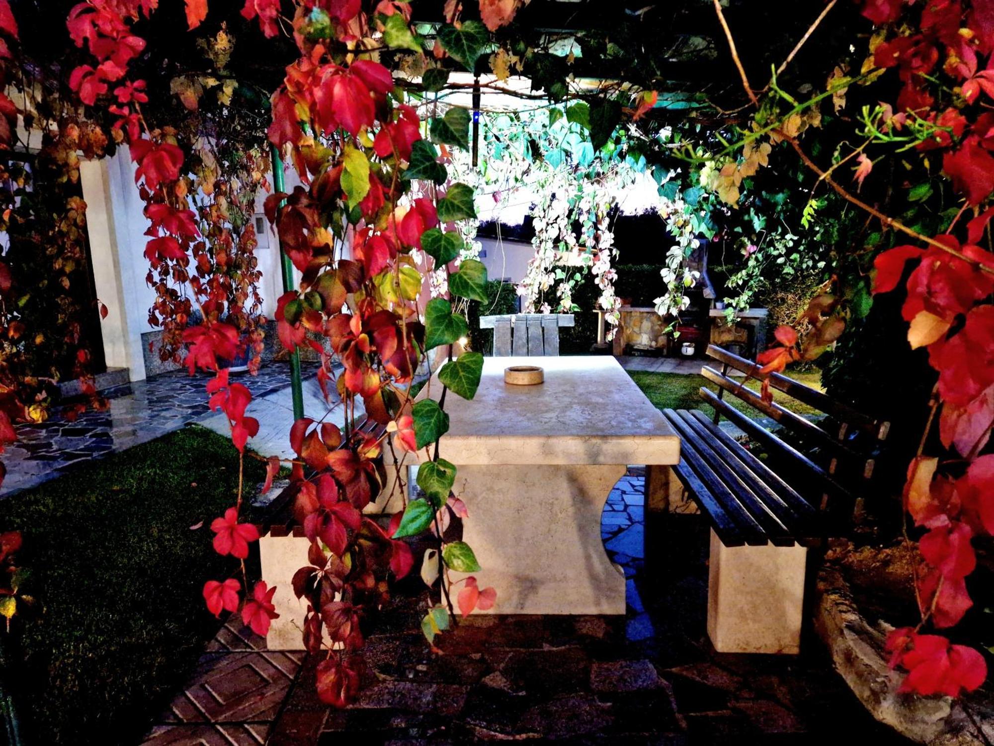 فيلا Casa Luana Roč المظهر الخارجي الصورة